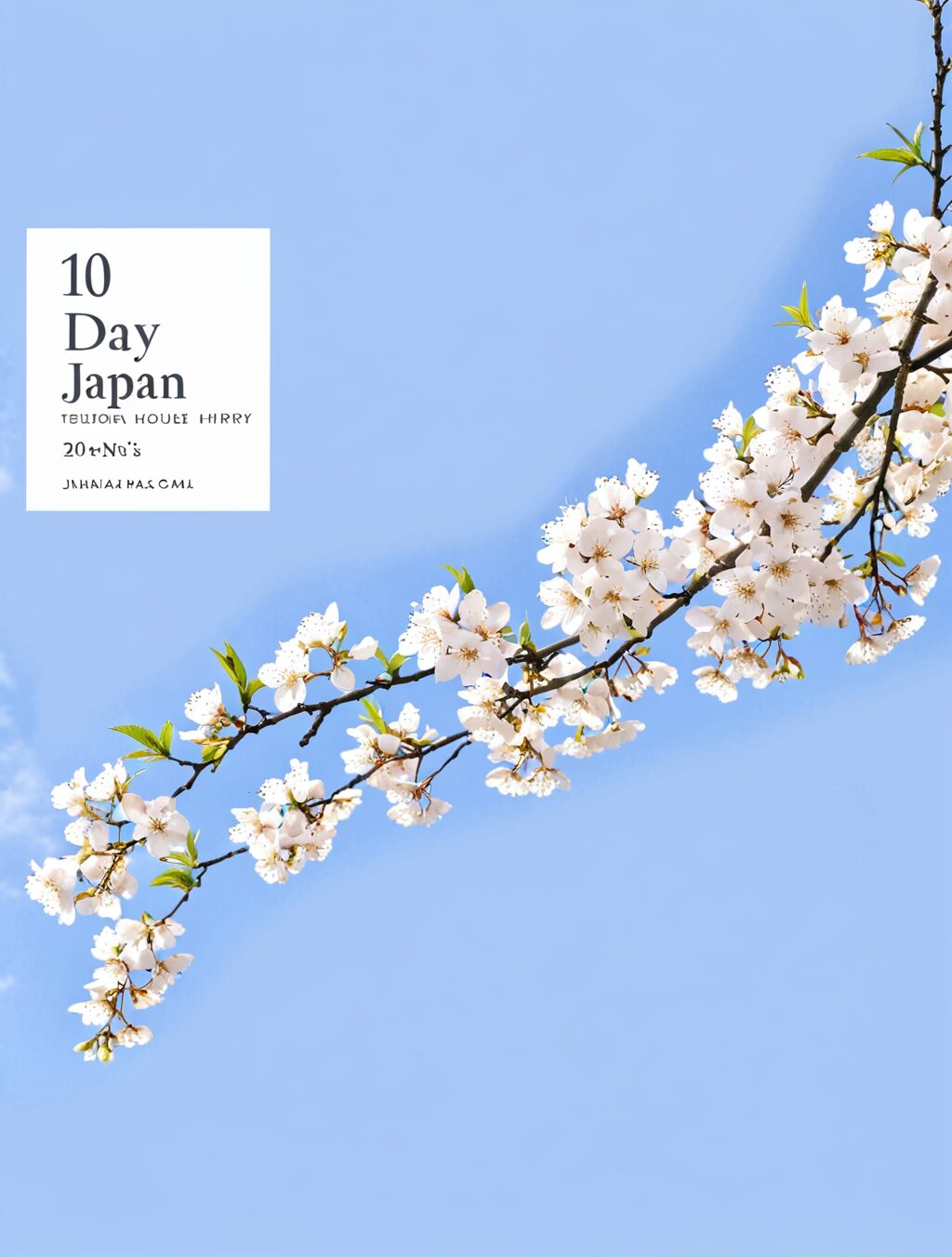 best 10 day japan itinerary
