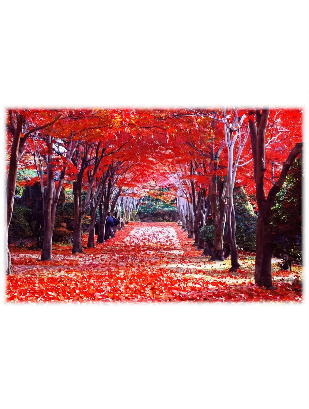 best places to visit in japan in october