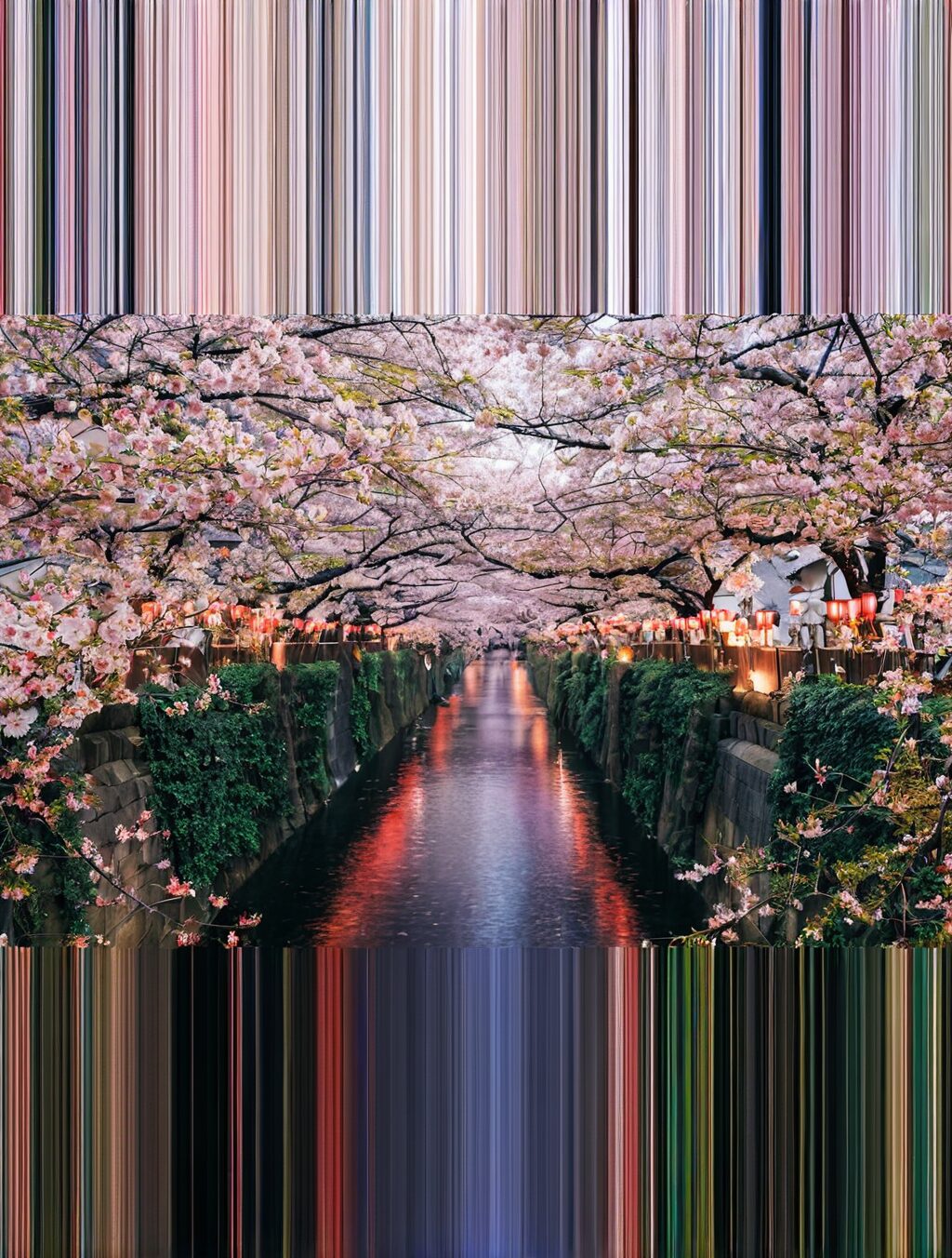 best time to visit japan for sakura
