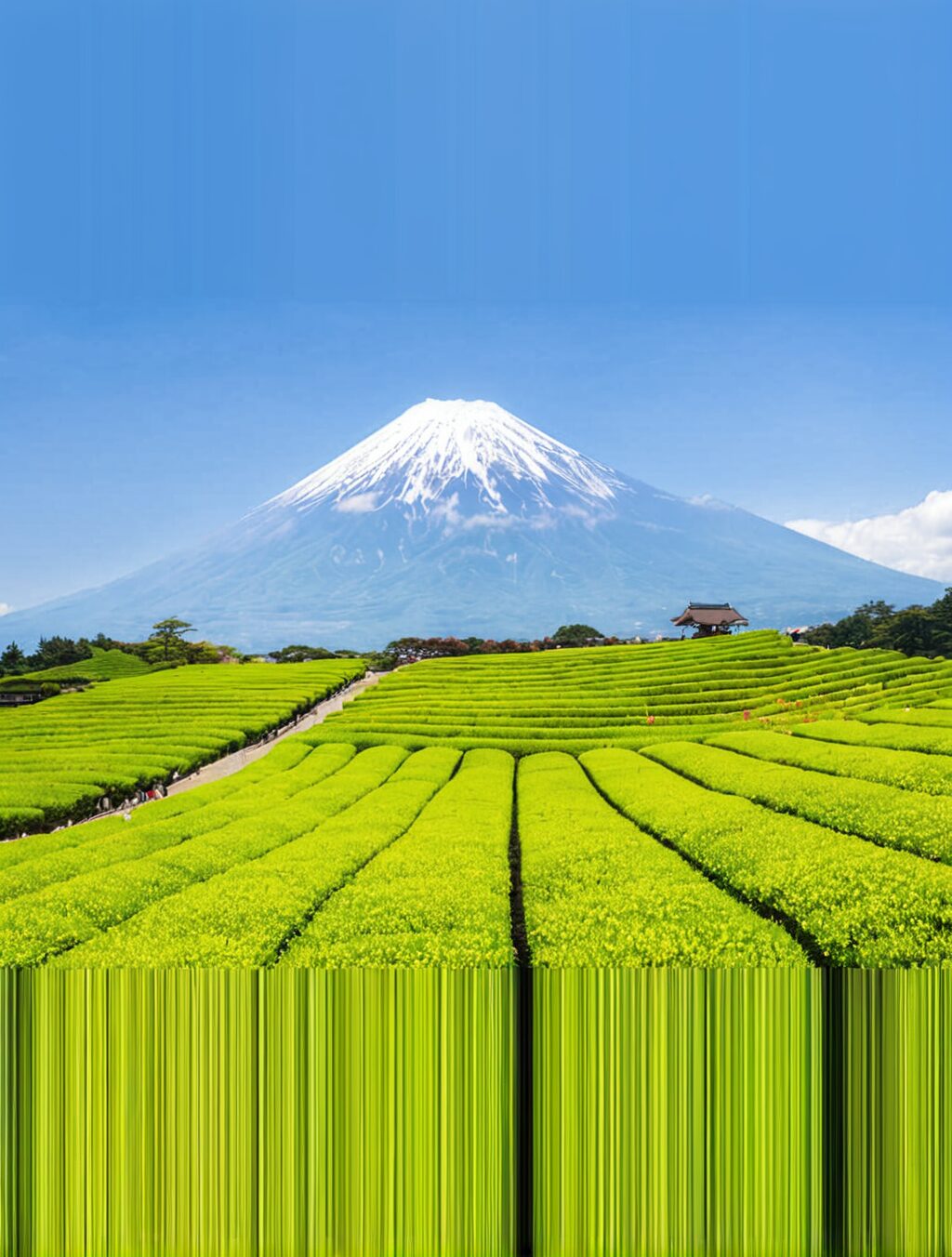 is it better to visit japan in august or september