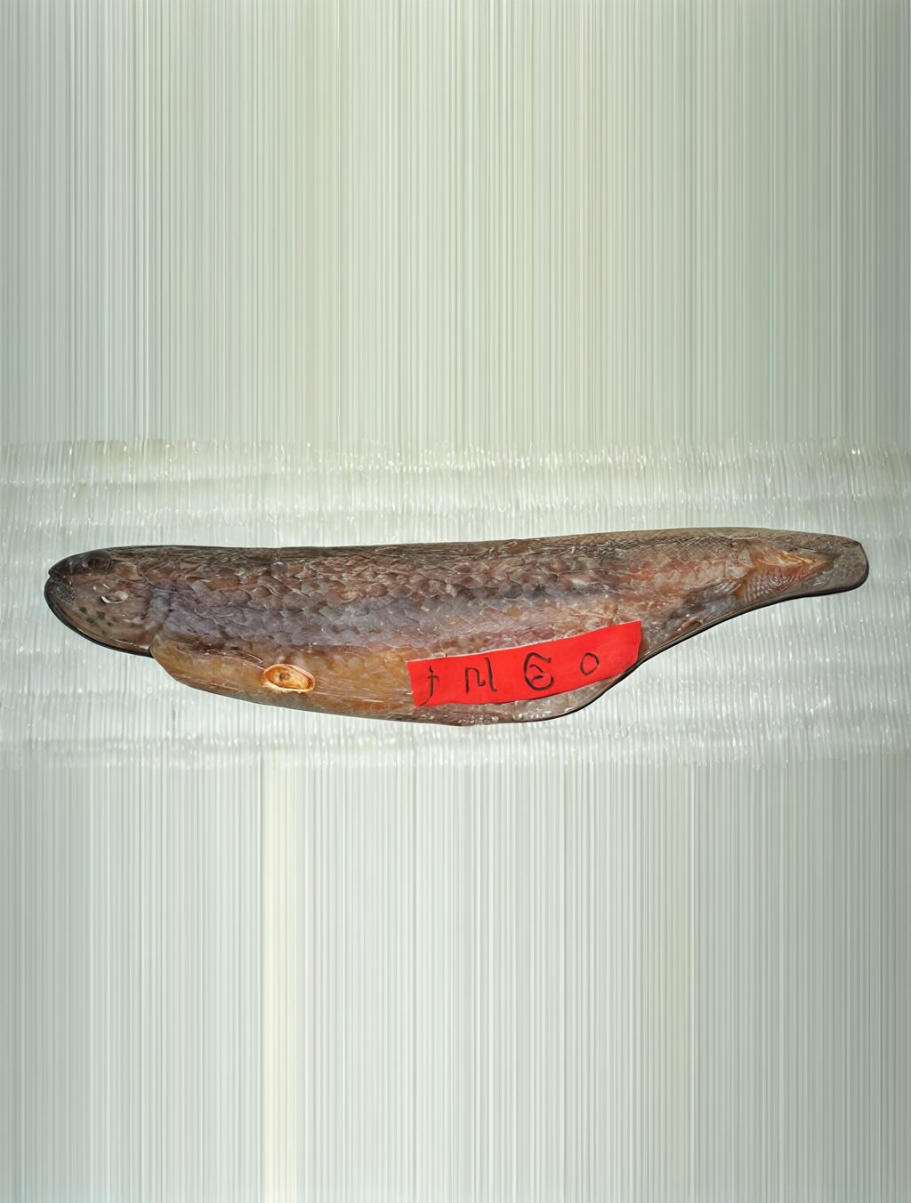 japan fermented fish