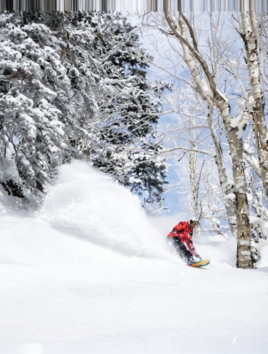 japan snowboarding trip
