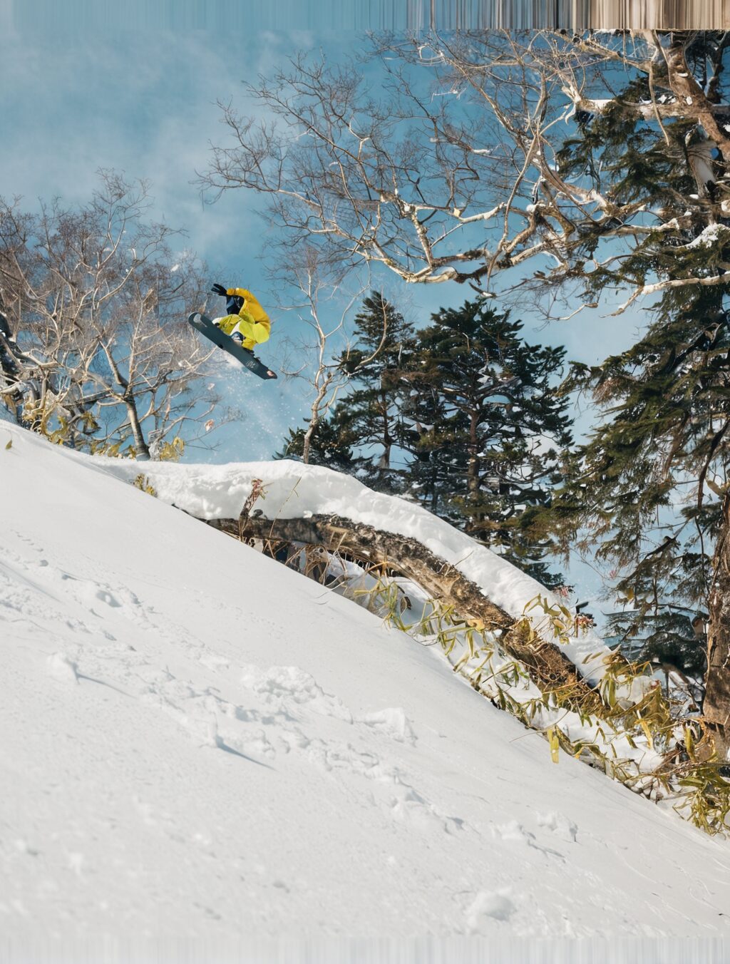 snowboarding trips to japan