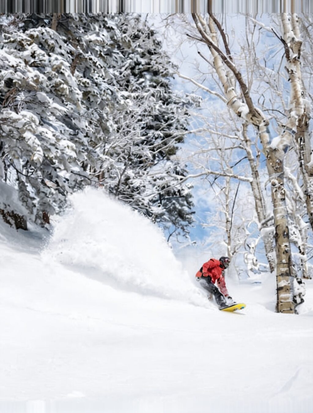 snowboarding trips to japan