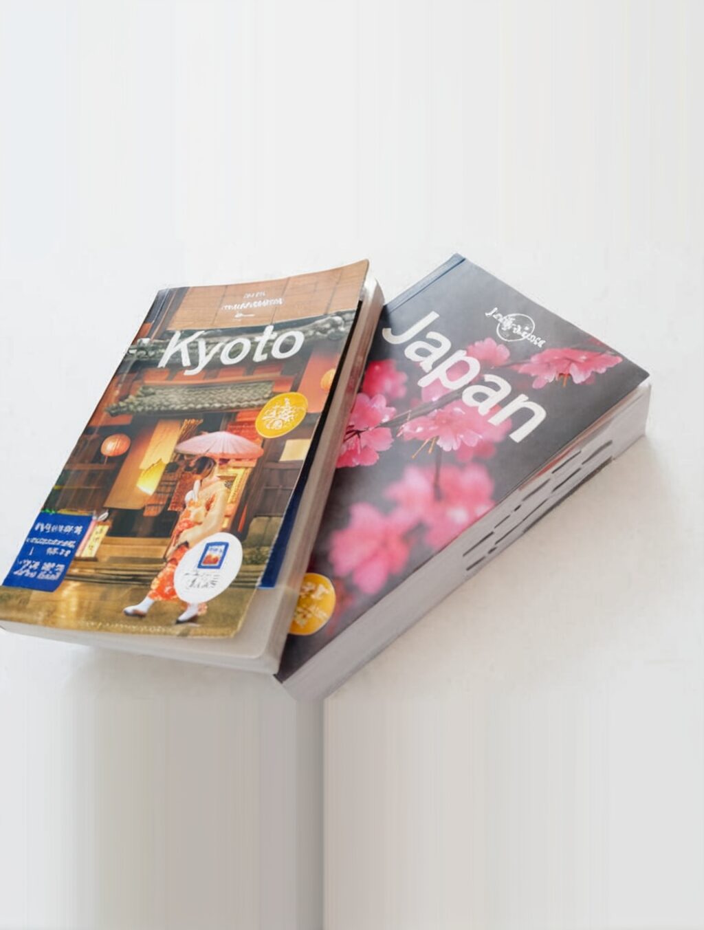 travel books japan for sale