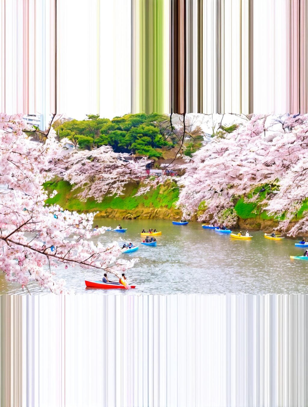 travel to japan in april