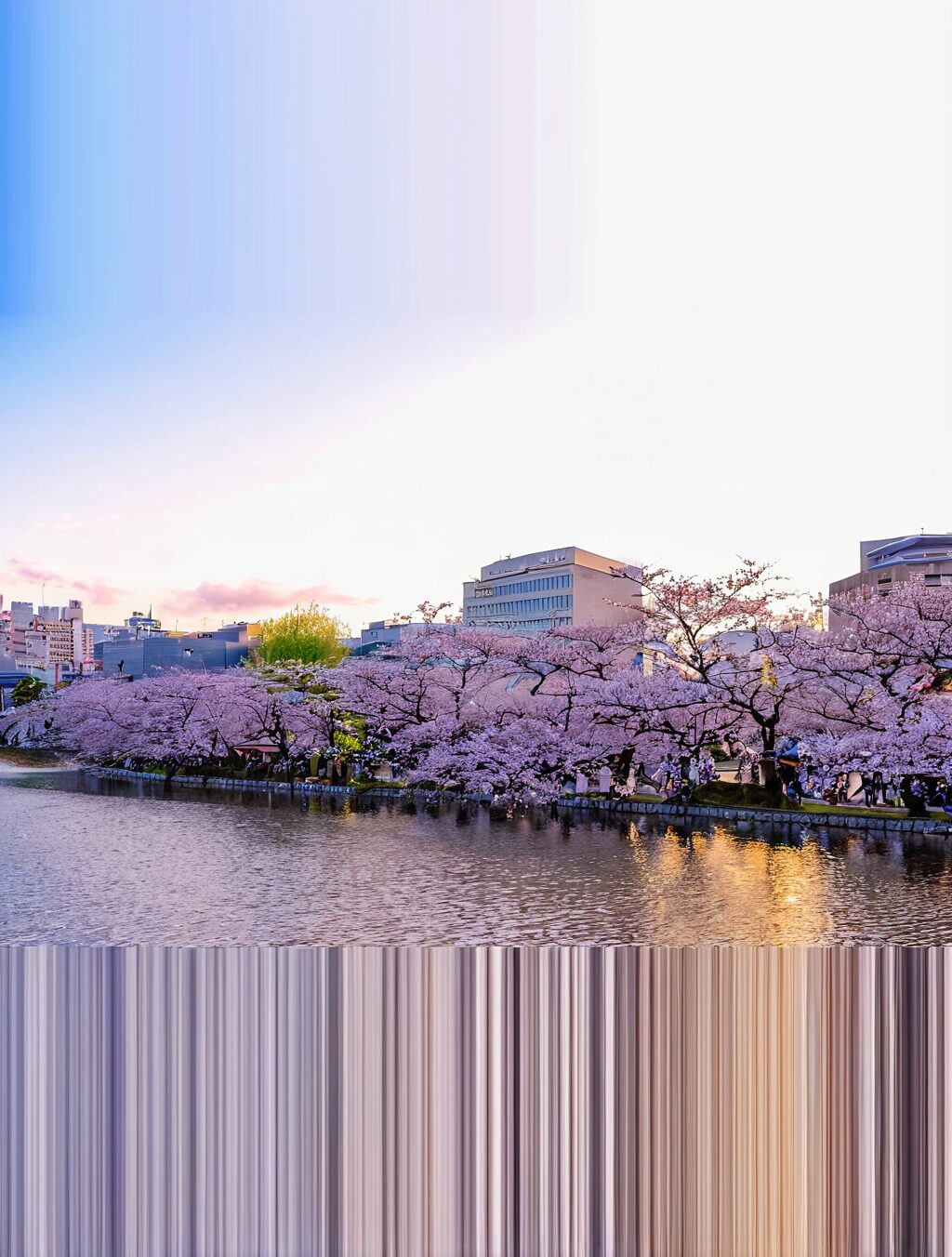 visiting japan for first time