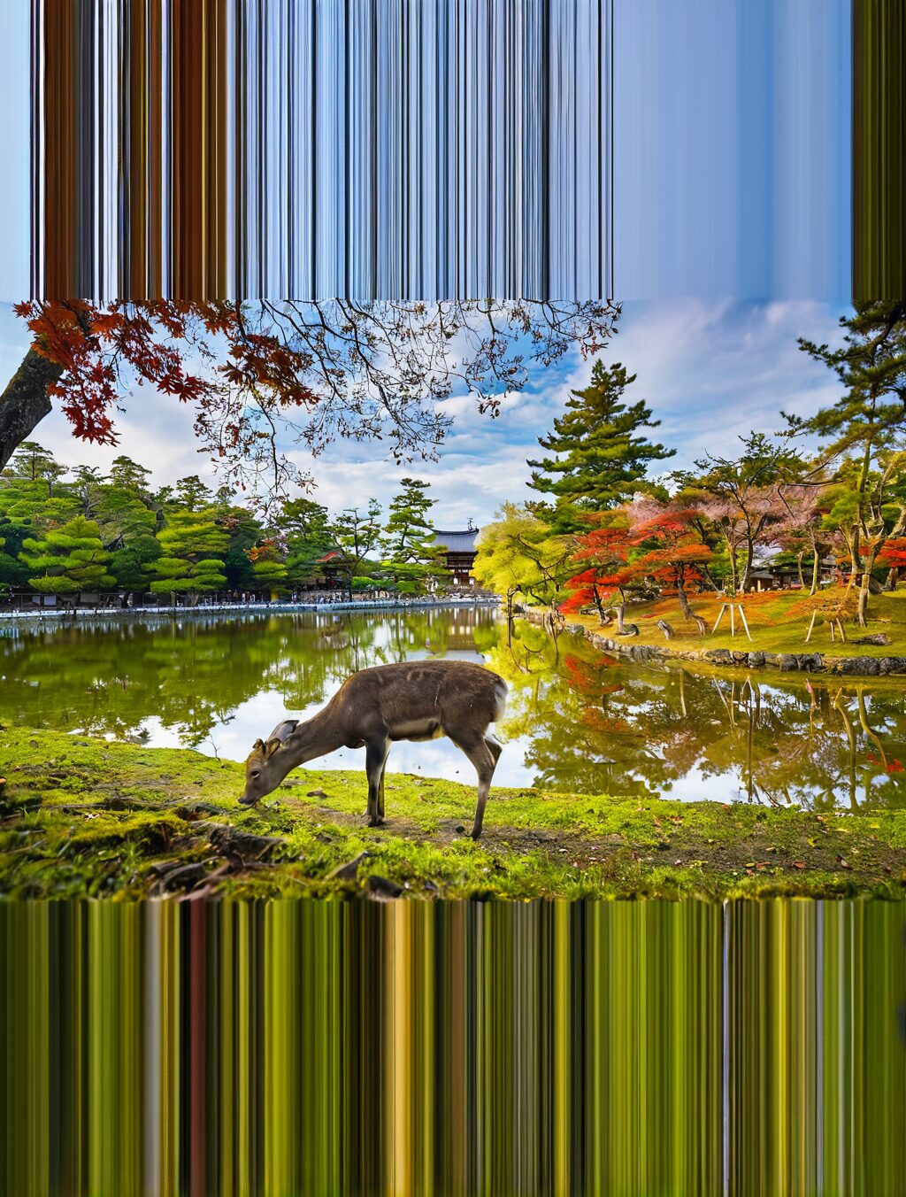 where to go in nara japan