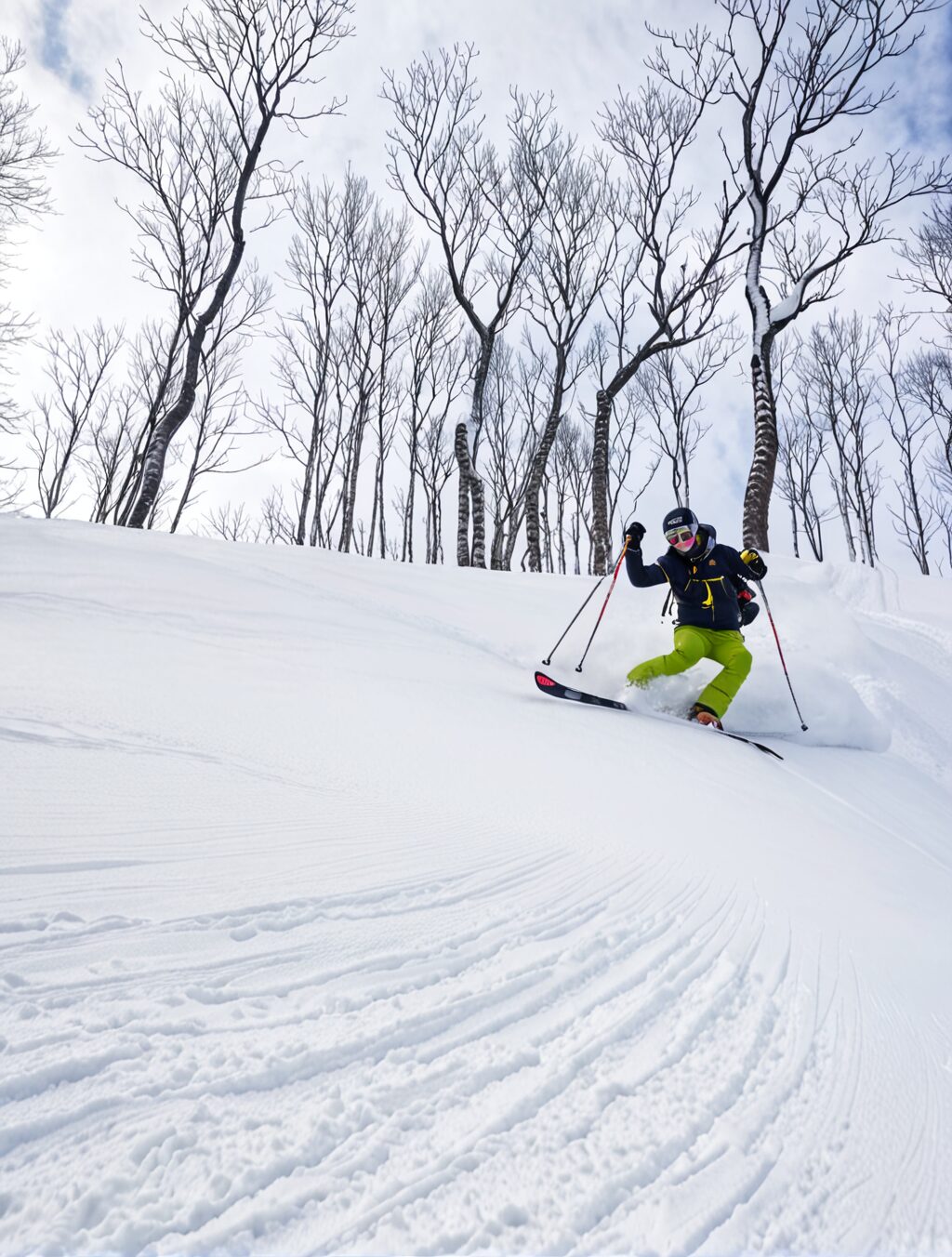 where to go in niseko japan