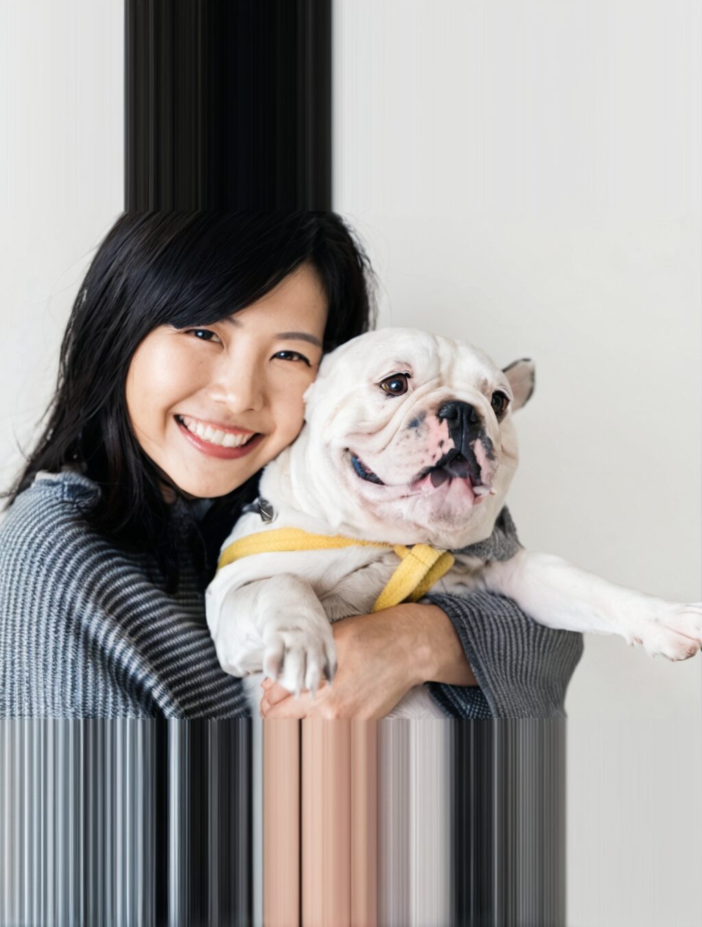 why is japan not pet-friendly