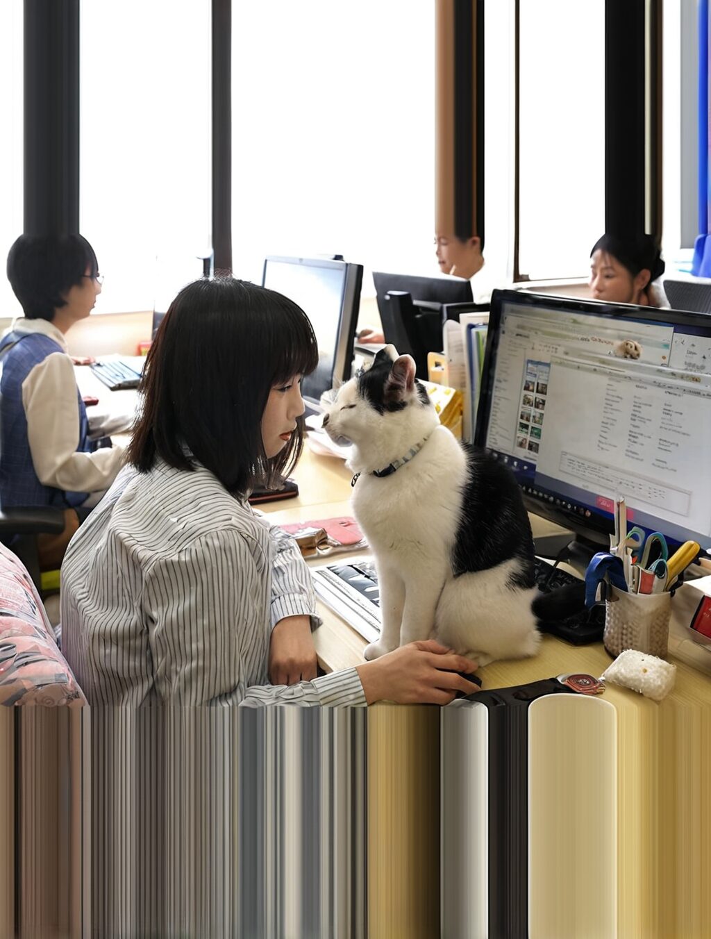 why is japan not pet-friendly