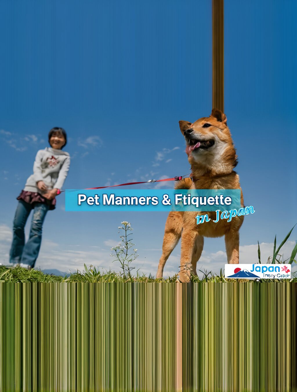 why is japan not pet-friendly