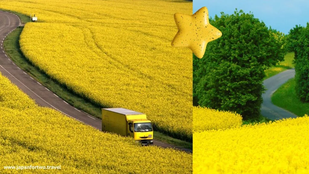 yellow spring road japan