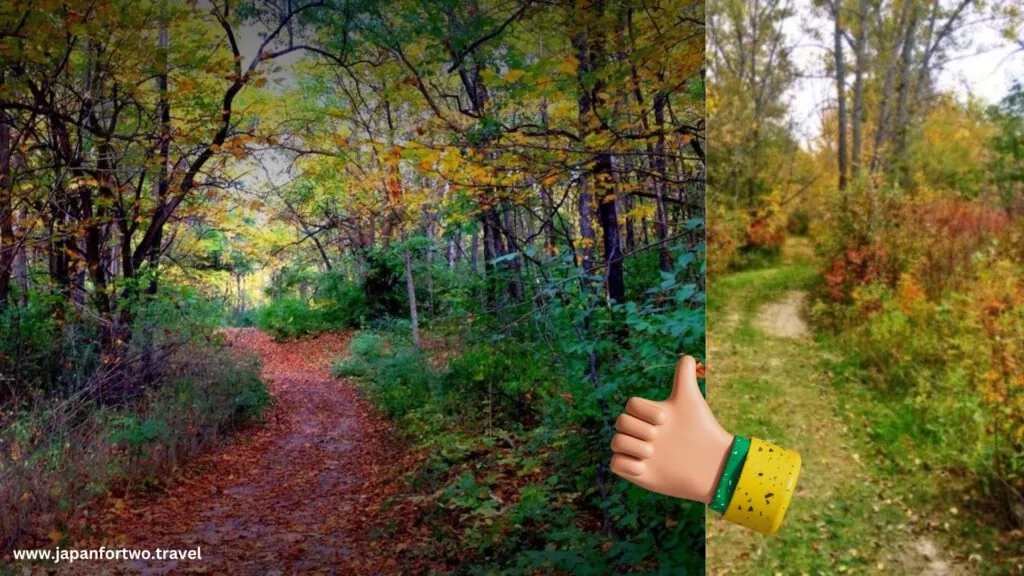 Yellow Spring Road Hiking and Nature Walks