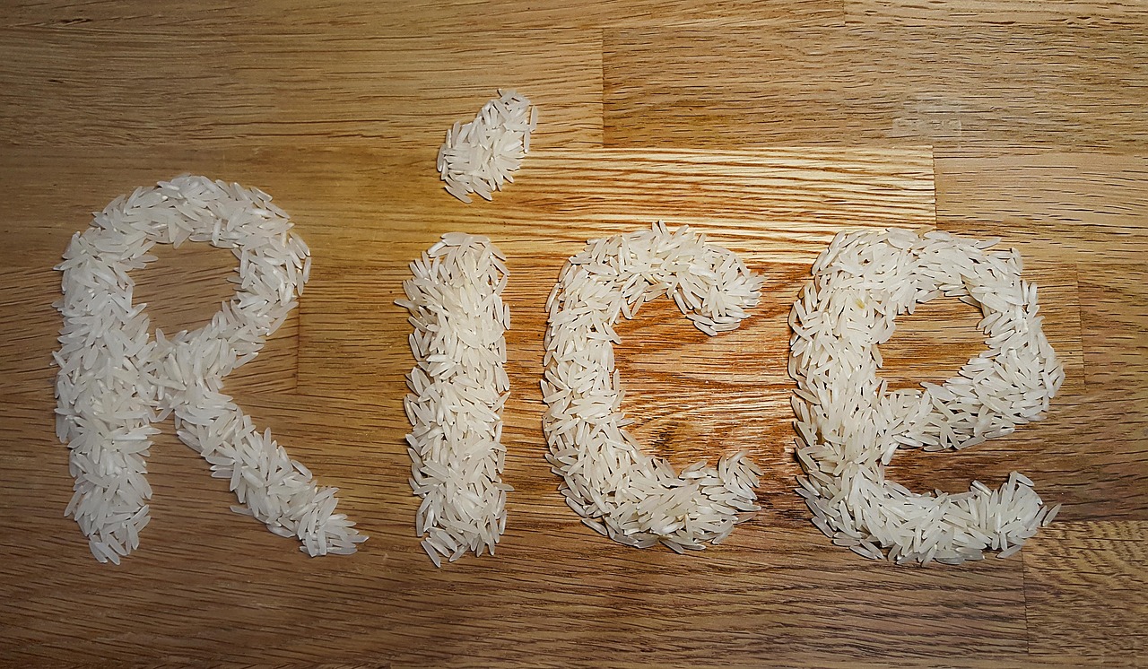 short grain japanese rice