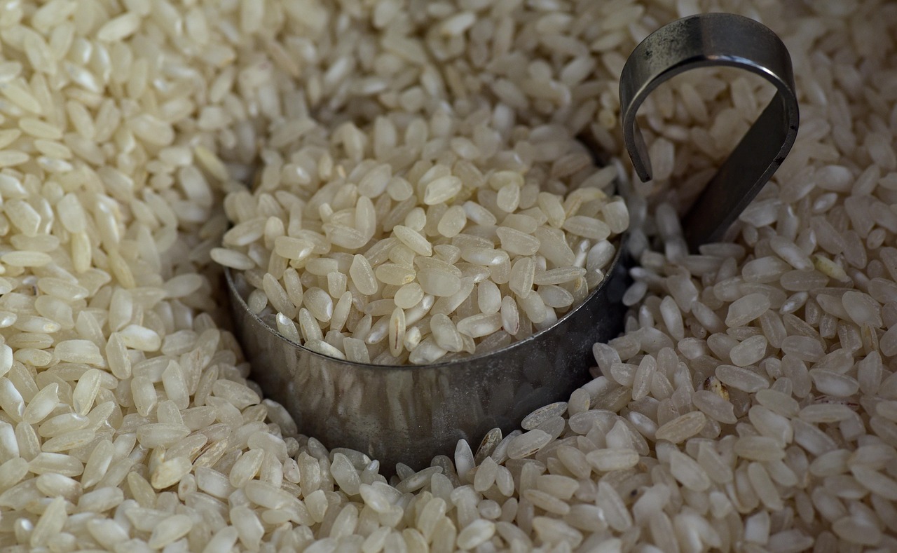 short grain japanese rice