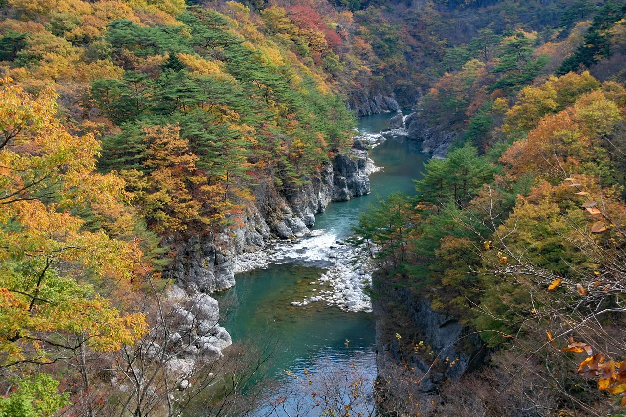 Unveiling the Enchanting Beauty of Ashikaga Flower Park Tochigi: A Magical Haven You Can't Miss